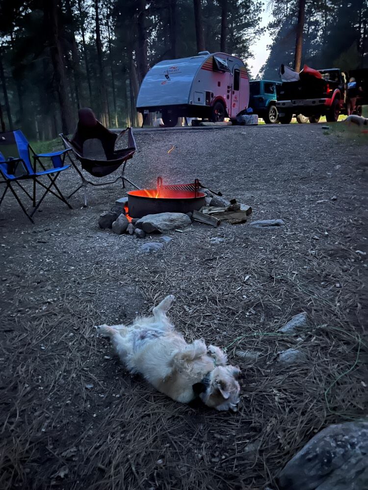 Bandit Chilling by the Campfire